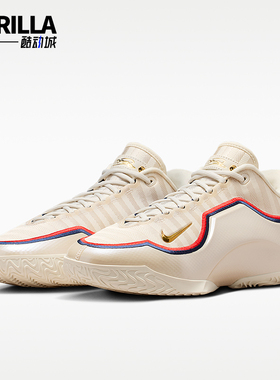 Nike/耐克正品JORDANLeBronXIEP詹姆斯经典男篮球鞋IB9563-103