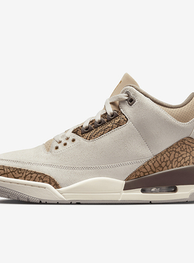 Nike/耐克正品Air Jordan 3男士复古耐磨经典篮球鞋CT8532-102