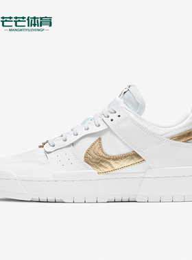 Nike/耐克正品Dunk Disrupt Low女士耐磨运动板鞋DD9676-100