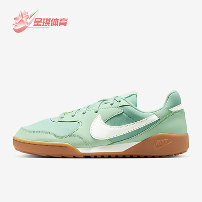 Nike/耐克正品TERRA MANTA新款女士系带轻便低帮休闲鞋HQ1940-300