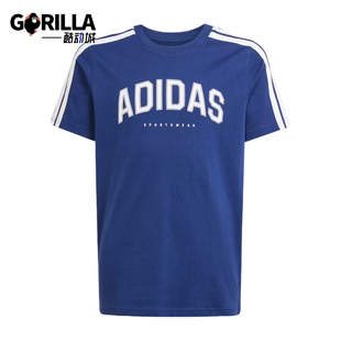 Adidas/阿迪达斯正品CodesColegiateCodes经典休闲短袖T恤JL6138