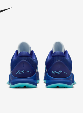 Nike/耐克正品秋季新款男士时尚缓震耐磨篮球鞋HJ4303-400