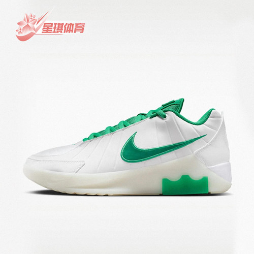 Nike/耐克正品LEBRON WITNESS IX EP男士经典篮球鞋HQ8035-101