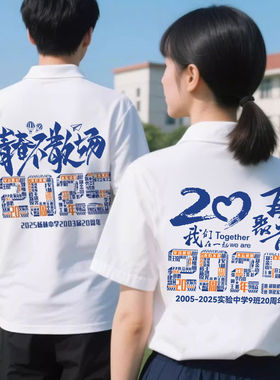 同学聚会T恤定制10 20周年纪念文化衫短袖翻领Polo衫团体服印logo