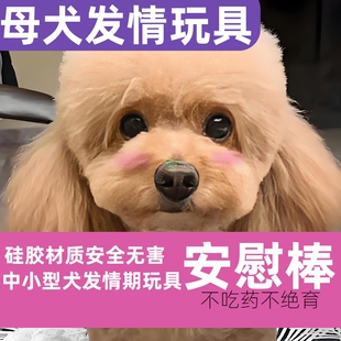 中小型成犬母犬玩具发情发泄母犬性发泄安慰棒禁情泰迪比熊柯基