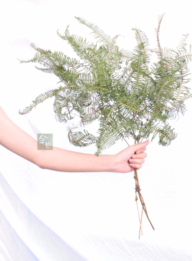 diy材料客厅森系婚庆造景干花