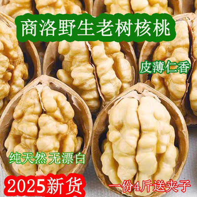 2025新核桃陕西商洛山阳特产野生老树核桃薄皮原味干核桃坚果零食