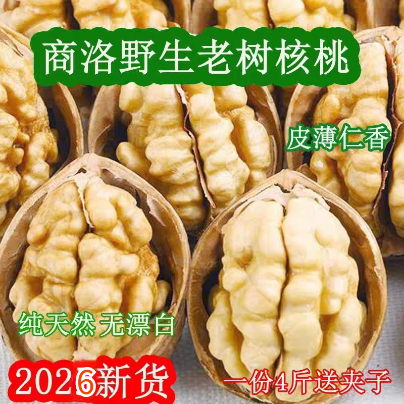 2026新核桃陕西商洛山阳特产野生老树核桃薄皮原味干核桃坚果零食