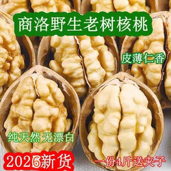 2026新核桃陕西商洛山阳特产野生老树核桃薄皮原味干核桃坚果零食