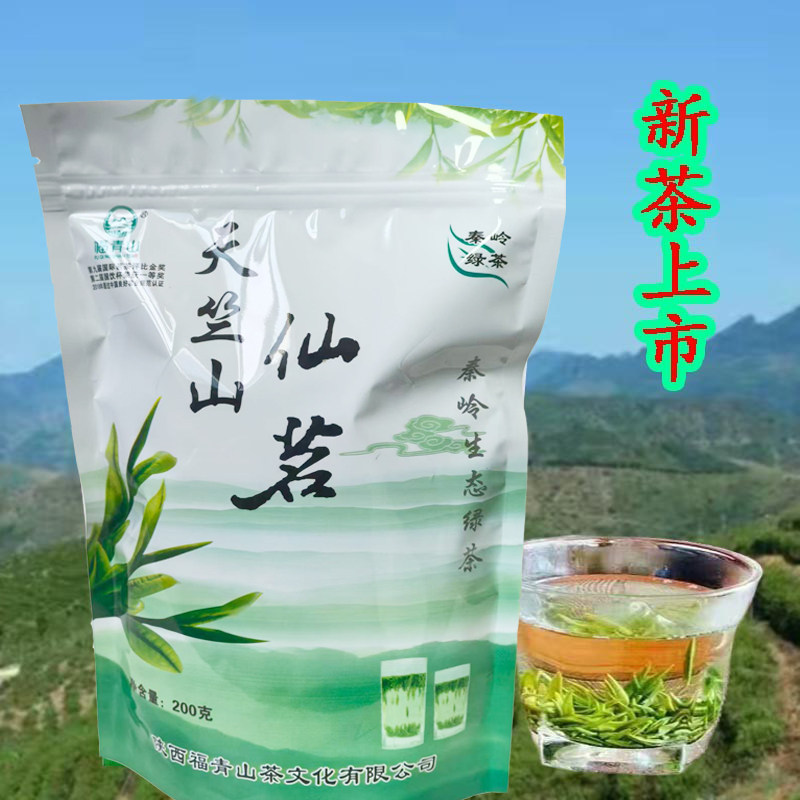2026新茶陕西商洛山阳茶叶天竺山仙铭高山青茶绿茶特产袋装包邮
