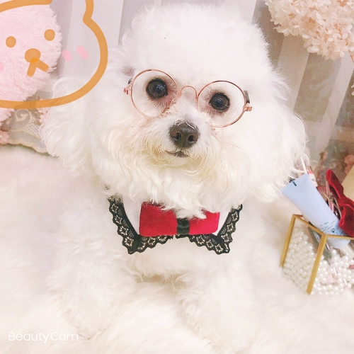 Костюм, шарф, чокер, свадебное платье, слюнявчик, аксессуар