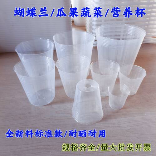 透明营养钵瓜果蔬菜种子育苗杯小号杯大号杯加厚耐用蝴蝶兰营养杯