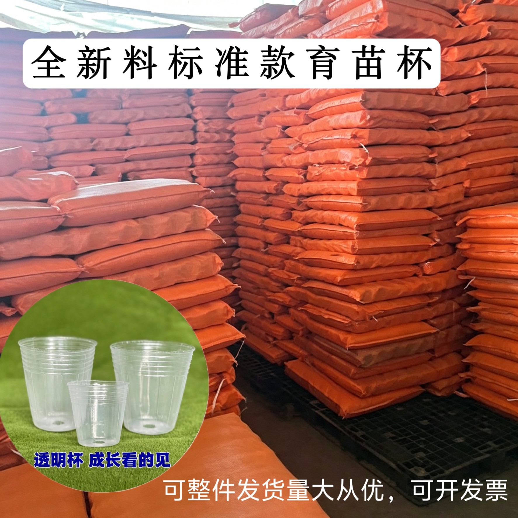 厂家直销蝴蝶兰营养杯大棚种植育苗杯批发石斛兰花专用透明育苗碗