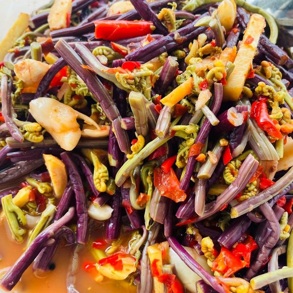 云南腌白花蕨菜 野菜白露花 新鮮腌制酸辣百花酸辣下飯菜龍爪菜