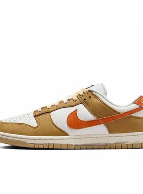 NIKE/耐克男低帮NIKE DUNK LOW RETRO运动休闲板鞋HM3729-181