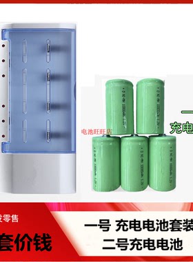 大电池手电筒1号电池 D型高容量一号1号5号7号充电池充电器套装煤