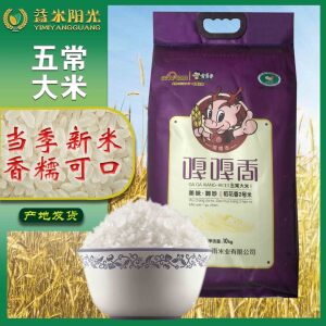 2025新米嘎嘎香美味臻香五常大米东北大米稻香10公斤20斤包邮