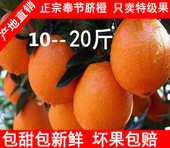 现摘重庆纽荷尔伦晚福本带叶脐橙子20斤10斤孕妇新鲜水果奉节直发