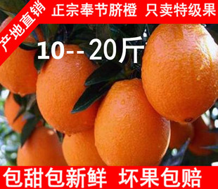 现摘重庆纽荷尔伦晚福本带叶脐橙子20斤10斤孕妇新鲜水果奉节直发
