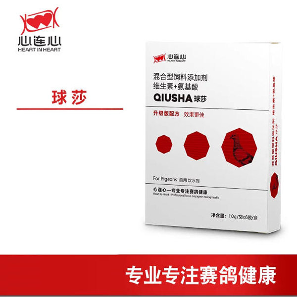 心连心鸽子信鸽【球莎粉剂】种幼肉观赏比赛鸽水血便瘦竹节便包邮
