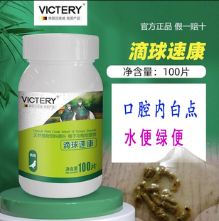 信鸽 汉诺威鸽子滴球速康比赛鸽幼鸽\水便口腔内黄白点\60片包邮