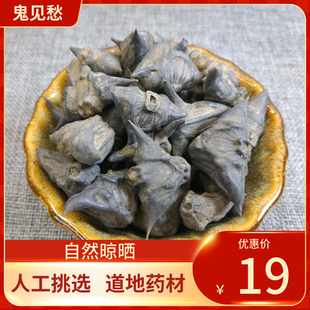 中药材 鬼不缠 鬼见愁 干菱角 铁菱角 干货500克包邮