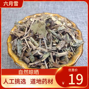 中药材 六月雪 500g 白马骨 路边金满天星新鲜干货