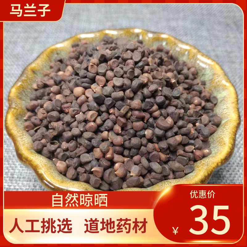 中药材 马兰子 500g 马蔺子马楝子马莲蠡实荔实马莲子马帚子中