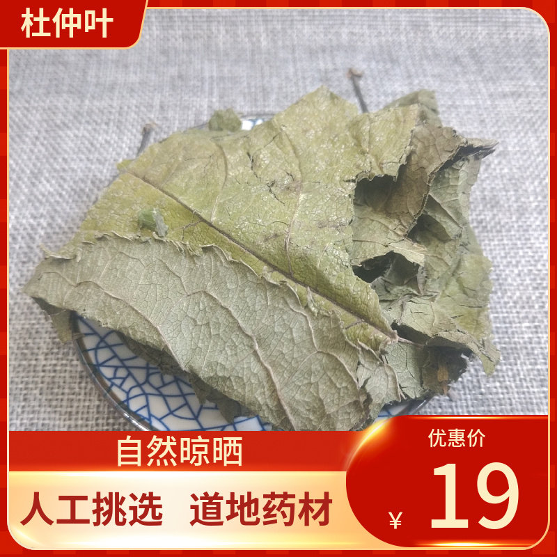 中药材 杜仲叶 杜仲树叶 500g克包邮 杜仲 新树叶 杜仲 晒干