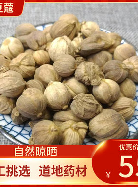 中药材宗 白寇 500g 白蔻白豆蔻卤料卤水料香辛料卤水另有草豆蔻