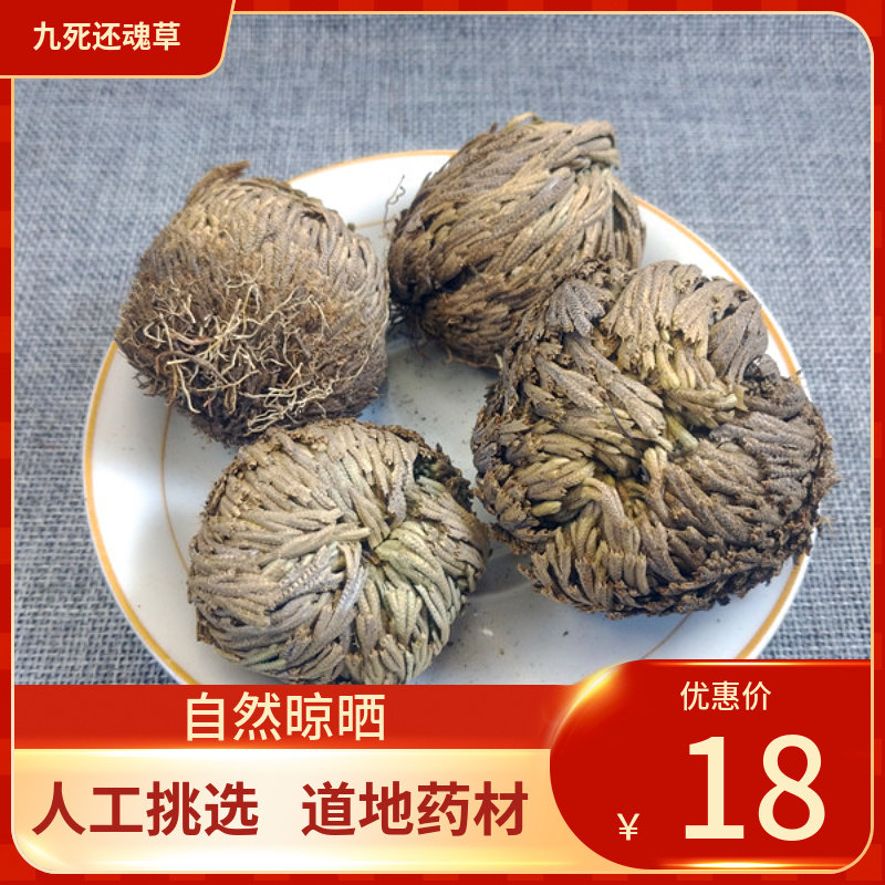 中药材  九死还魂草500g 卷柏 不死草 中草药新鲜干货
