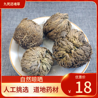 中药材  九死还魂草500g 卷柏 不死草 中草药新鲜干货