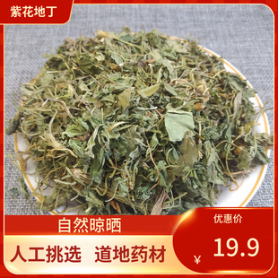 中药材 甄选紫花地丁 紫花地丁 500g地丁紫地丁草箭头草中草药