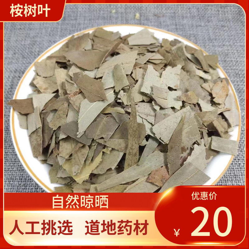 中药材 桉树叶500g  大桉叶洗脸 洗澡新鲜干货中草药