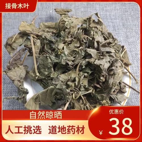 中药材 接骨木叶 500g接骨木叶子包邮中草药人工挑选