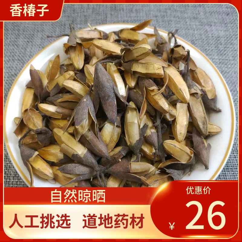 中药材新货500g 香椿树果实 香铃子 香椿籽 香椿树果 香椿子