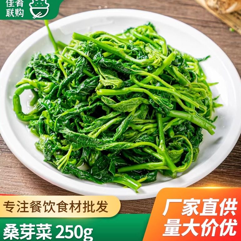桑芽菜250g凉拌桑叶嫩桑叶芽火锅凉菜小炒酒店半成品食材预制菜