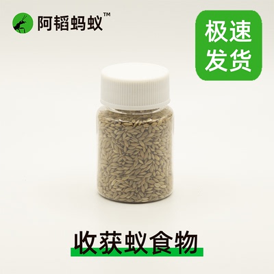 收获蚁食物加纳利子阿韬ants
