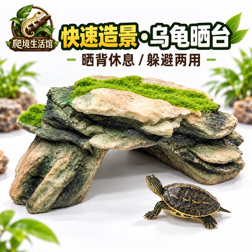 青苔山洞，一秒住进雨林