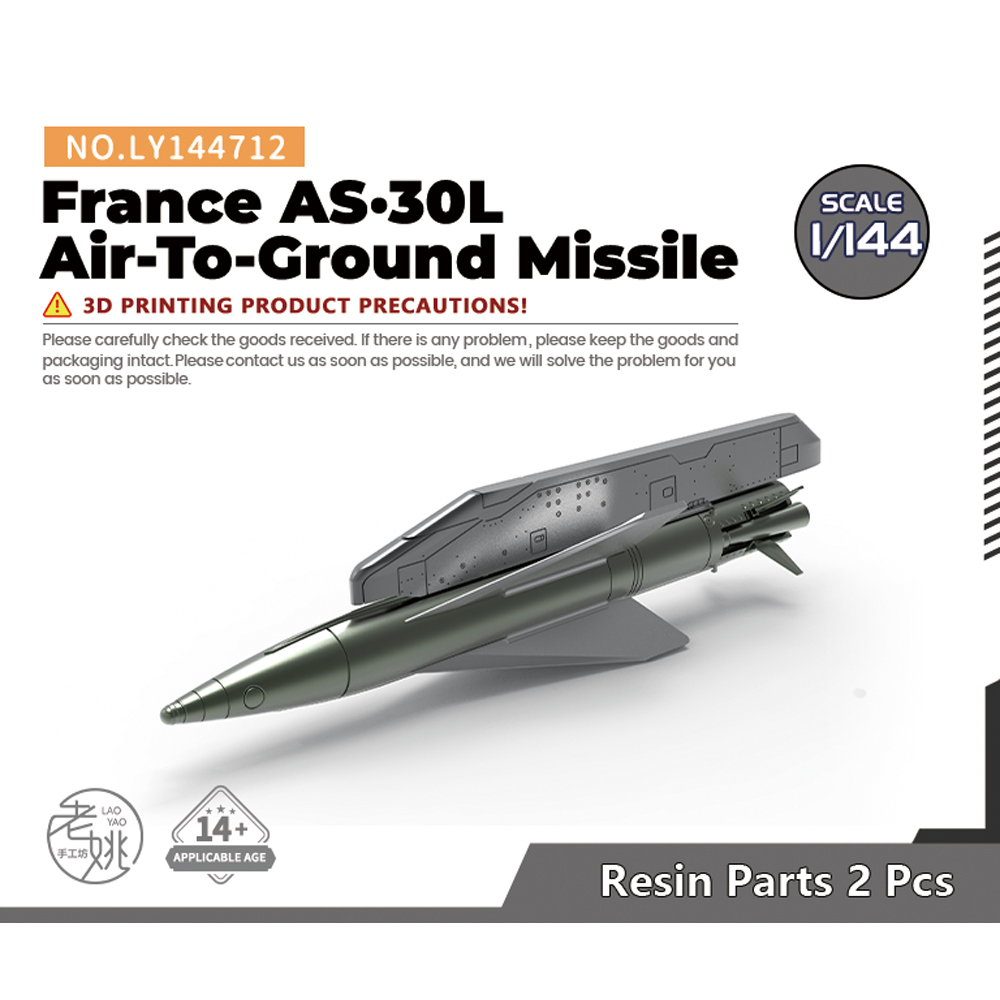 法国空对地导弹2pcs模型