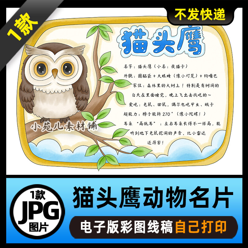 1056猫头鹰手抄报动物名片观察动物电子版线稿可打印图片素材
