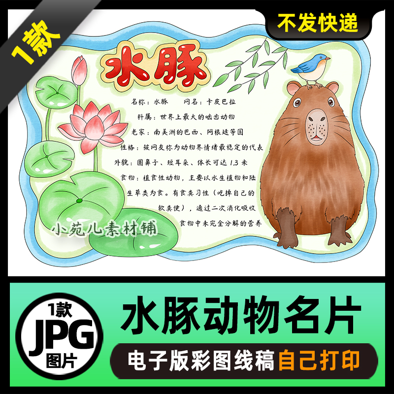 1055水豚手抄报卡皮巴拉动物名片手抄报电子版线稿可打印图片素材