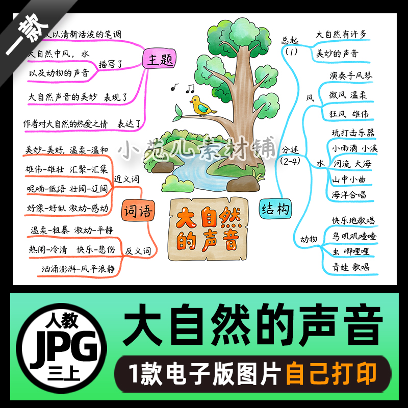 B836三语文上大自然的声音思维导图电子版线稿设计素材不发快递