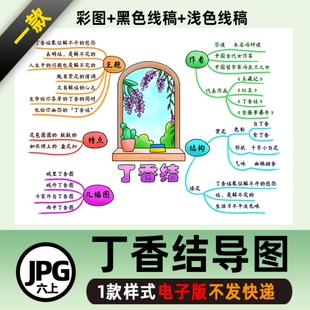 思维导图线稿电子图片高清线稿自己打印 丁香结 B378 六语上