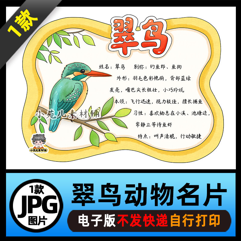1343【电子版】翠鸟动物卡鸟类名片动物名片观察日记手抄报线稿