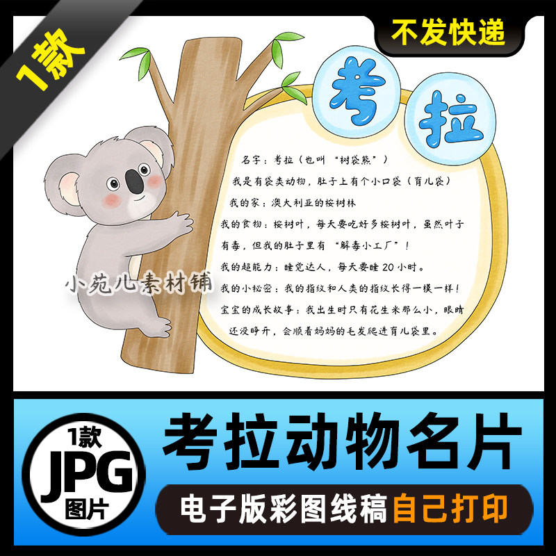 1057考拉手抄报动物名片观察动物手抄报电子版线稿可打印图片素材