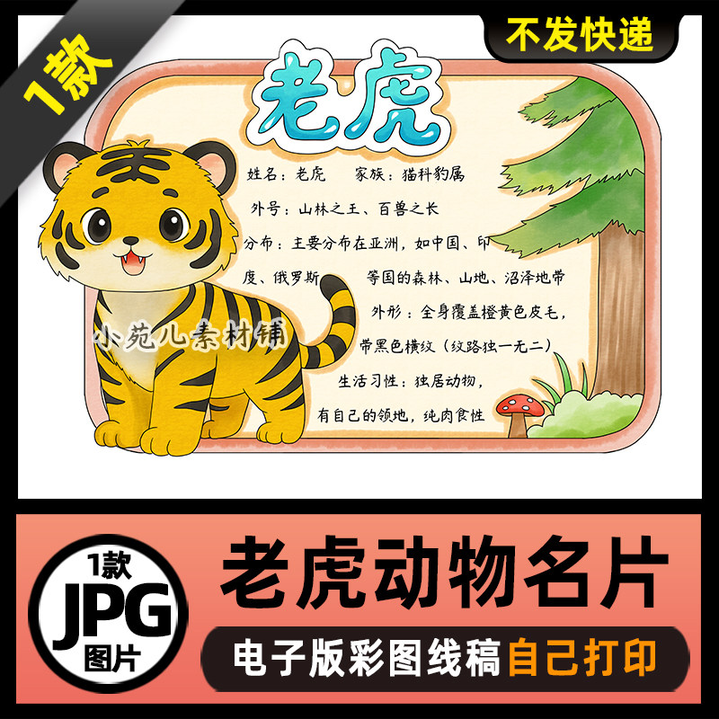 1146【电子版】老虎动物名片动物卡片动物观察手抄报线稿图片