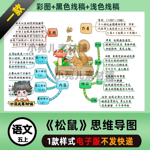 B449五语上《松鼠》思维导图电子版彩图线稿需打印