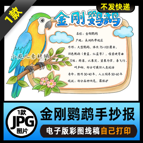 1136动物名片动物卡鸟类金刚鹦鹉动物观察手抄报电子版线稿
