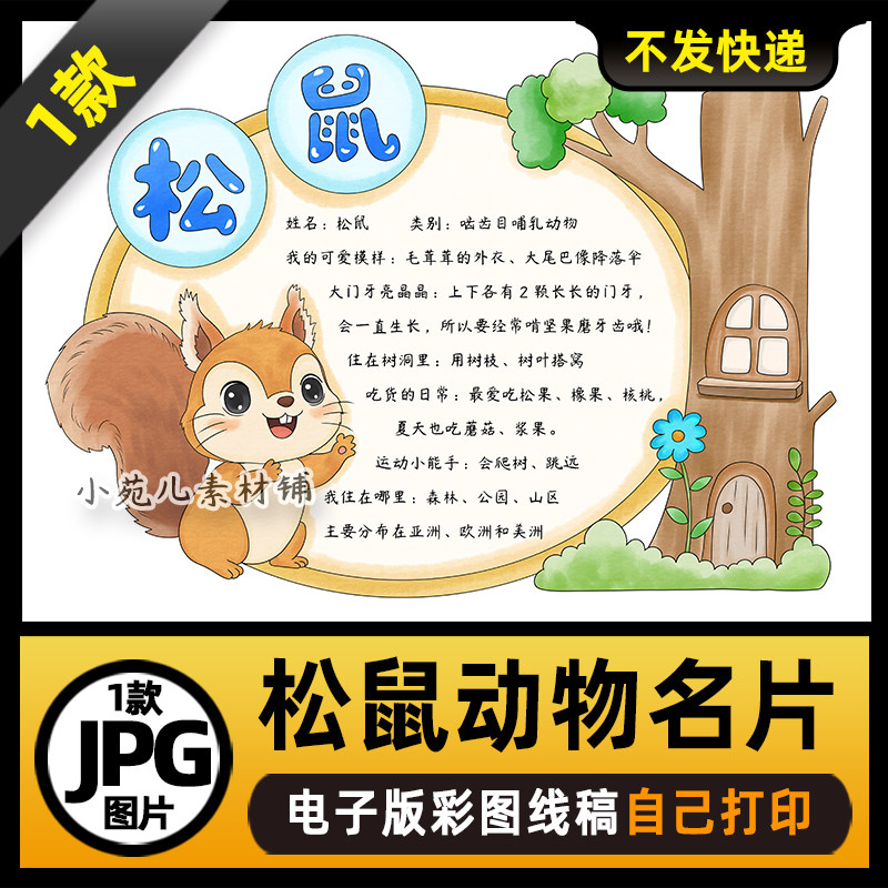 1058松鼠手抄报动物名片观察动物手抄报电子版线稿可打印图片素材